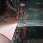 IMG_20220720_091450